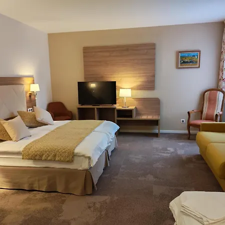 Hotel Saint Florent Oberhaslach