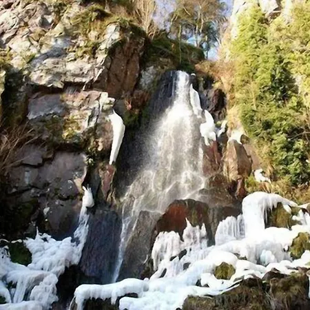 Hotel Saint Florent Oberhaslach